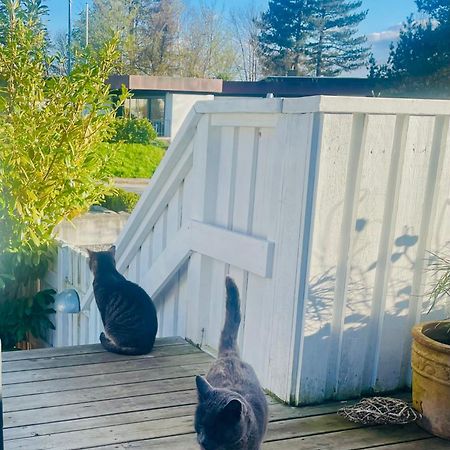 Cool Familyhome Close To The Beach W Two Cuddly Cats Espergærde エクステリア 写真